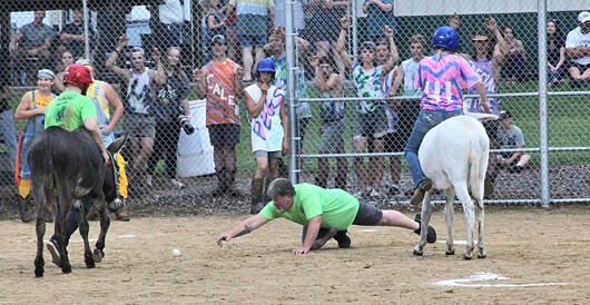 DonkeyBaseballHomeRun